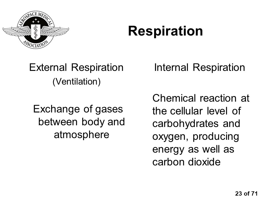 slide-bw-Slide23